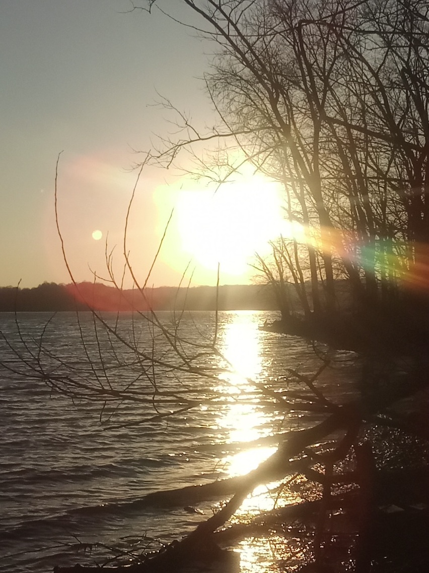 Bare trees silhouetted against bright sunset