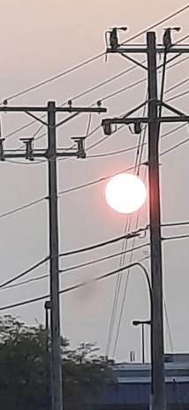 Bright sun and power poles