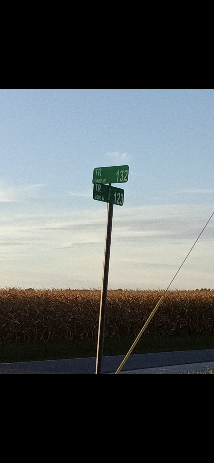 Rural road signs and cornfield